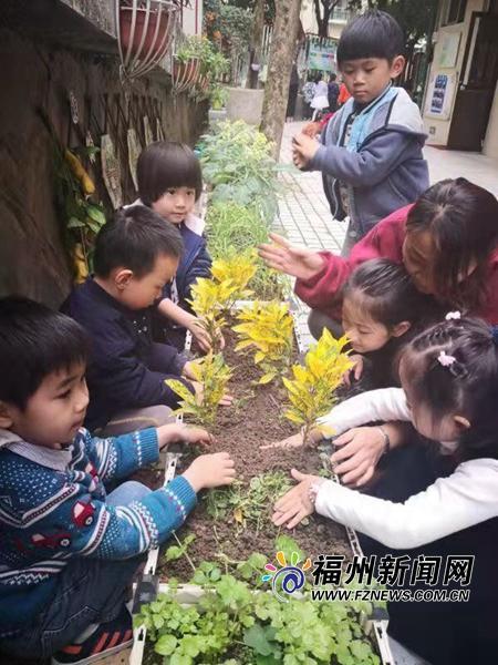 凤仪开展“结对共建香满校园”志愿服务送花活动