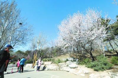 渊潭公园已采取了一系列限流管控措施 游客接近承载量30%时暂停入园
