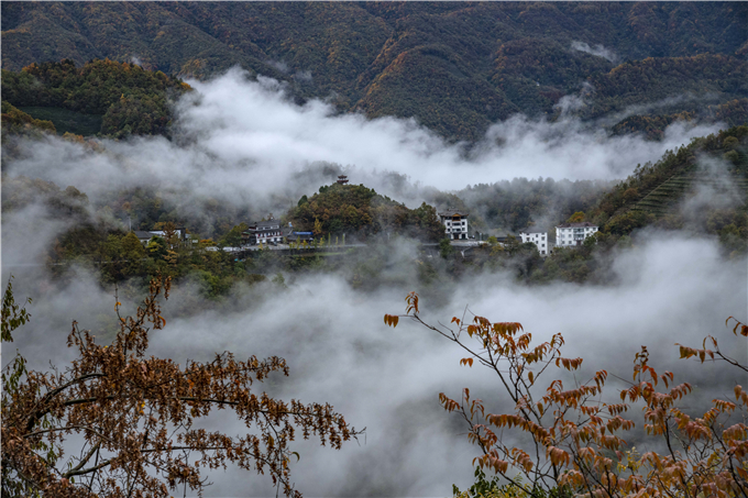 重庆五里坡国家级自然保护区正式成为“湖北神农架”的组成部分
