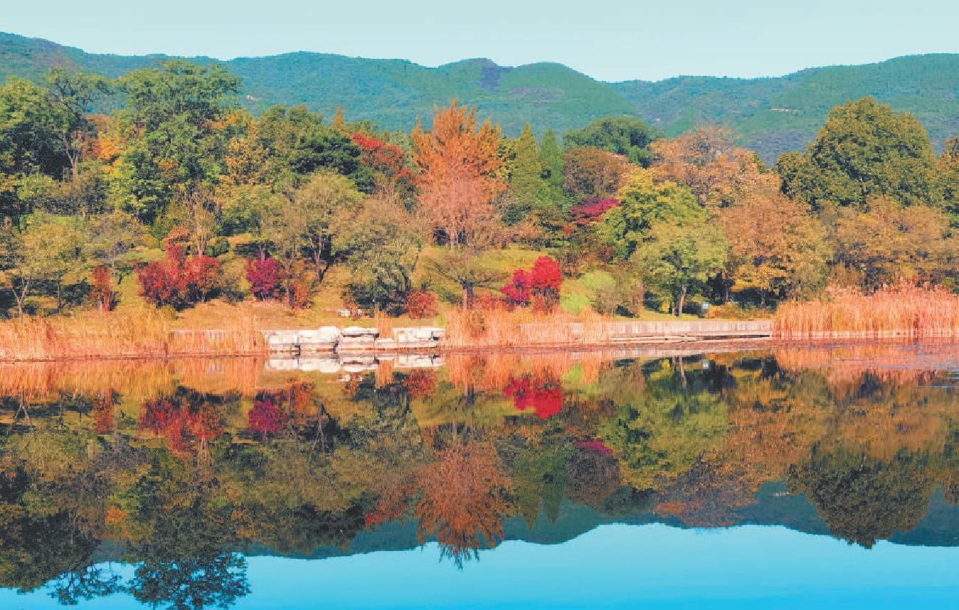 北京市公園管理中心發(fā)布今年市屬公園彩葉觀賞指南