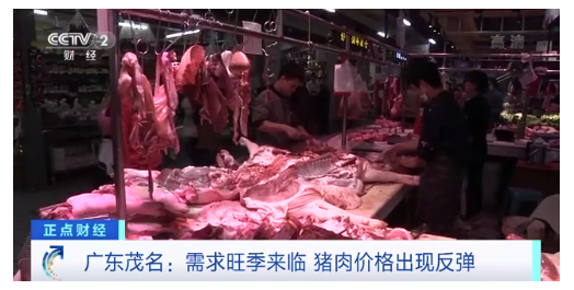 猪肉价格反弹 但整体价格相对去年还是比较低