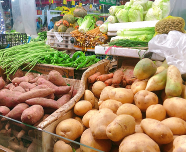 合肥今年“伏缺菜”生产面积1.3万亩 市民菜篮子如何保供？