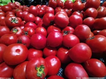 我国是在什么时候开始种植西红柿的？看完你就知道了