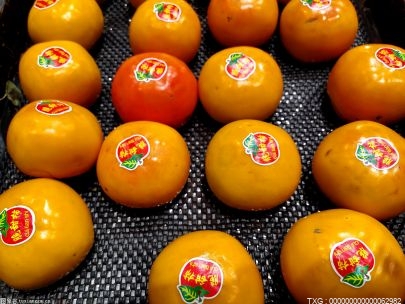 食用脆柿子有什么禁忌？脆柿子能放软吗？